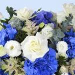 Azure and Ivory 3 4 (42)