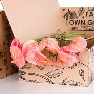 Anthurium Light Pink