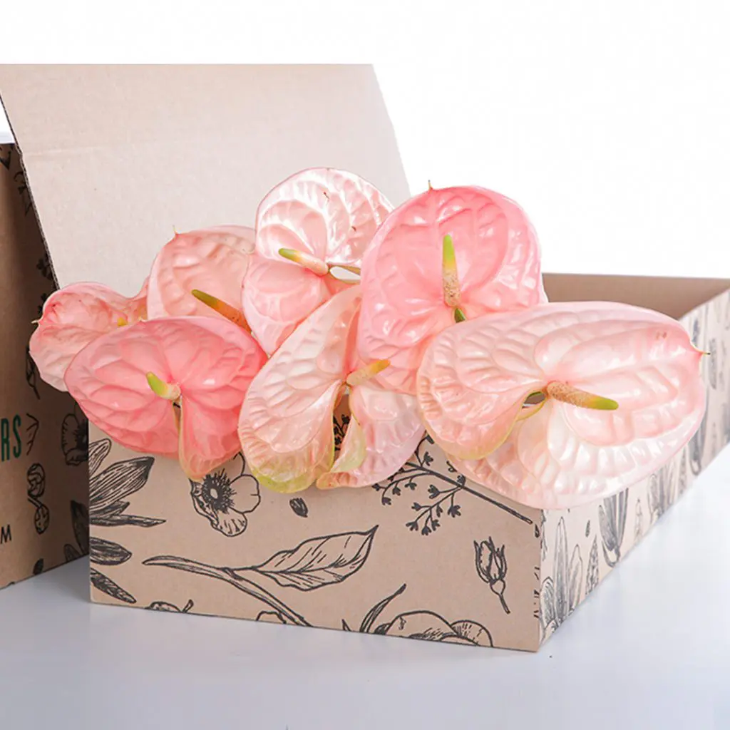 Anthurium Peach Anthurium Peach