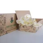 Anthurium White 1 Anthurium White