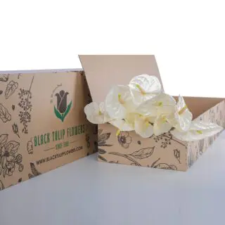 .A cardboard box filled with Anthurium White flowers, displaying its beautiful bright white hues.
