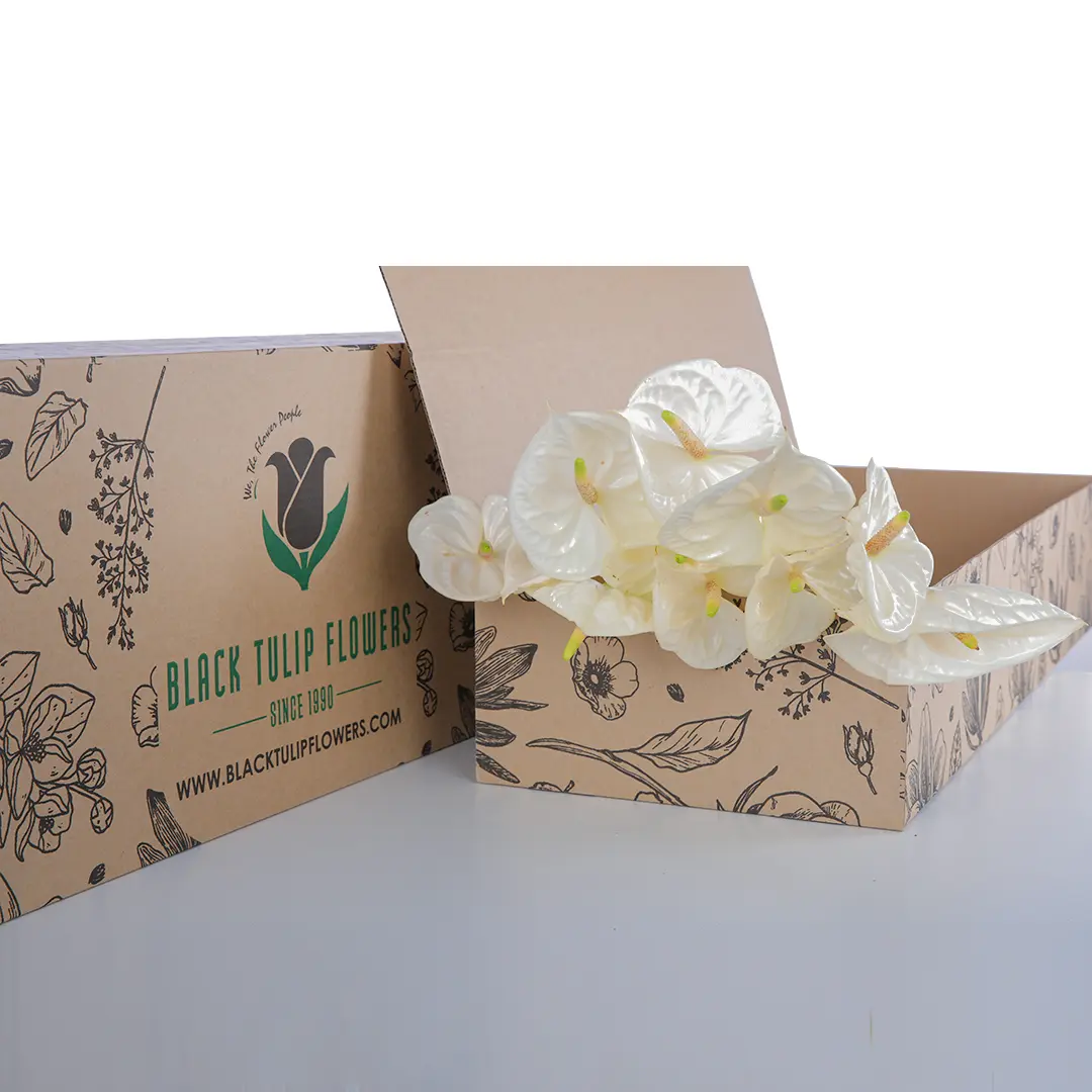 Buy Anthurium White Flowers Online | Flower Delivery Dubai