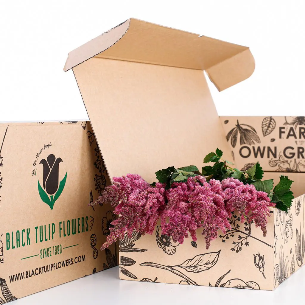 Astilbe Dark Pink (3) A cardboard box containing a vibrant bunch of Astilbe flowers in dark pink hues.