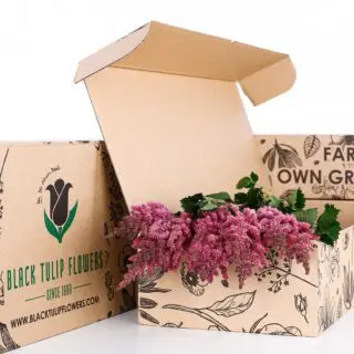 A cardboard box containing a vibrant bunch of Astilbe flowers in dark pink hues.
