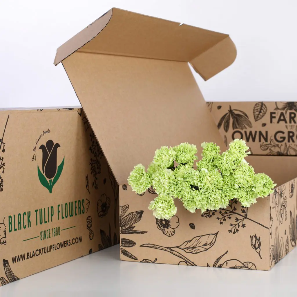Carnation Single Green (1) 10 stems of green Carnation with flower food in a brown box.