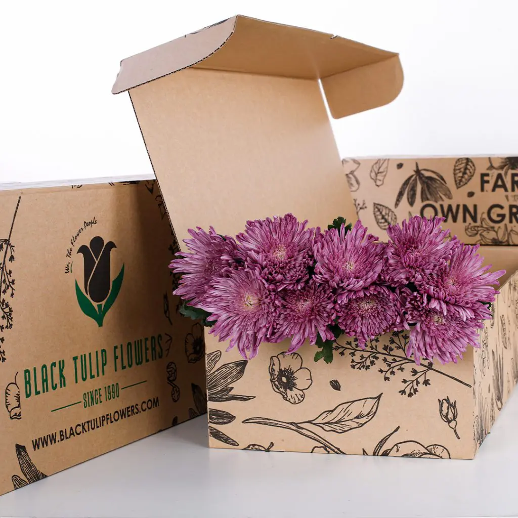 Chrysanthemum Delistar Purple (3) Chrysanthemum Delistar Purple bunch in a cardboard box