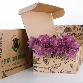 Chrysanthemum Delistar Purple bunch in a cardboard box