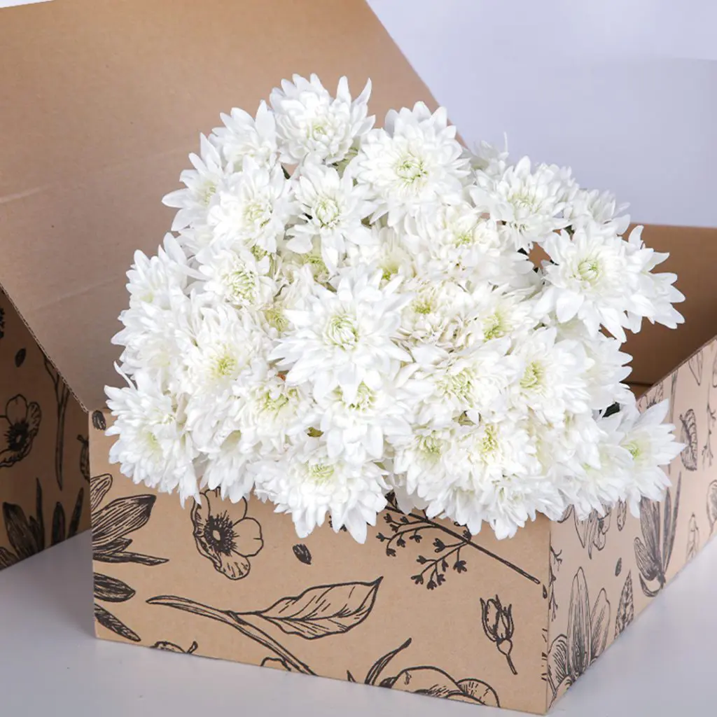 Chrysanthemum White Euro (3) Chrysanthemum White Euro
