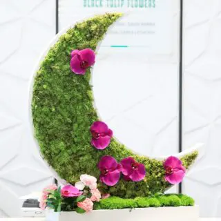 A crescent moon-shaped arrangement with moss and pink orchids.