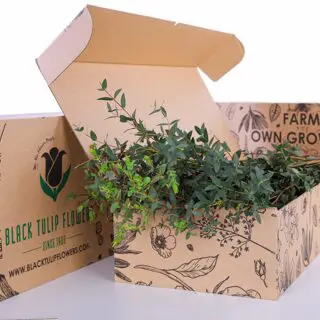 A cardboard box filled with Eucalyptus Purvifolia, featuring lush green leaves, ready for transport or display.