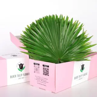 A collection of Finger Leaves neatly arranged in a cardboard box, highlighting their distinctive foliage.
