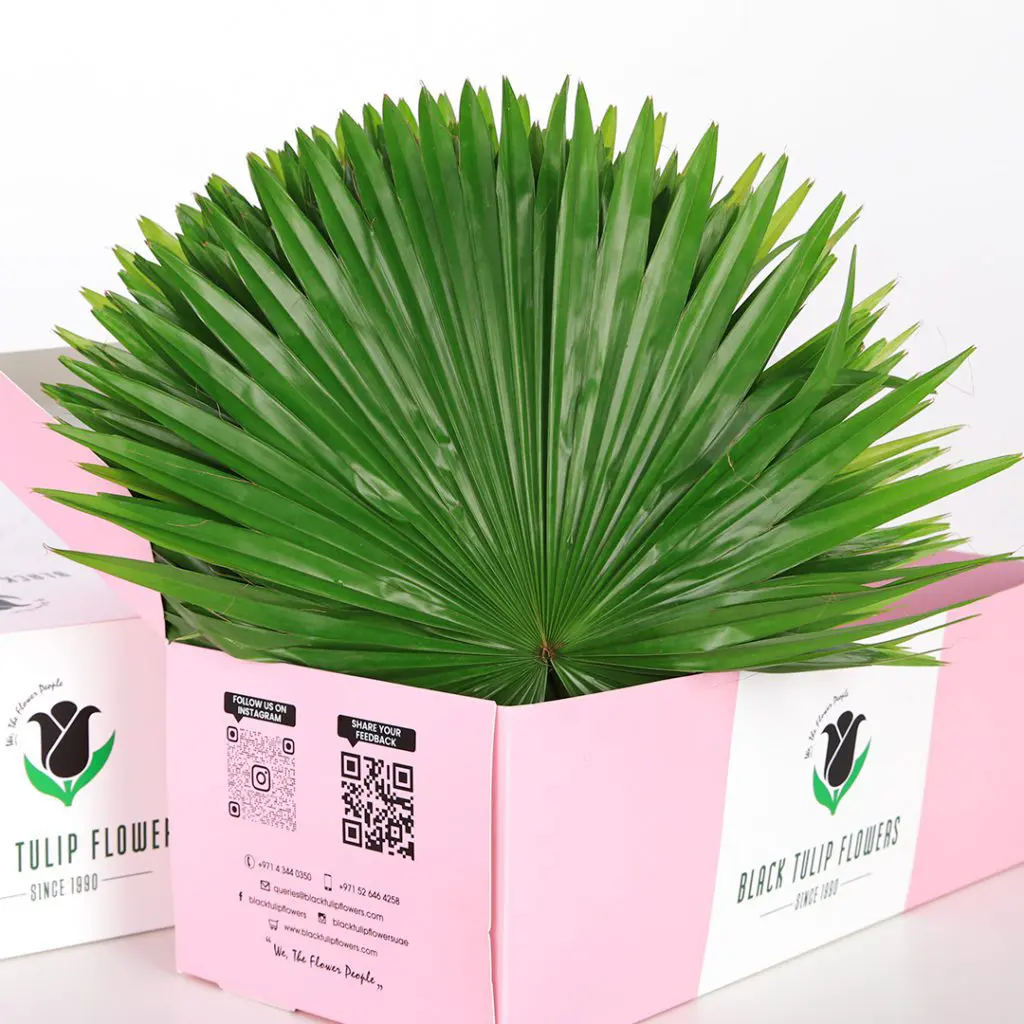 Finger Leaves