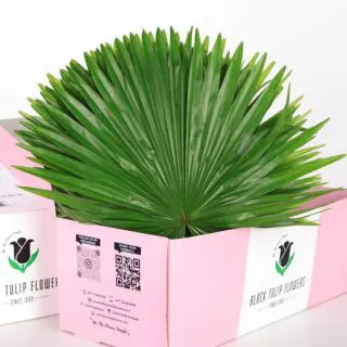 Finger Leaves