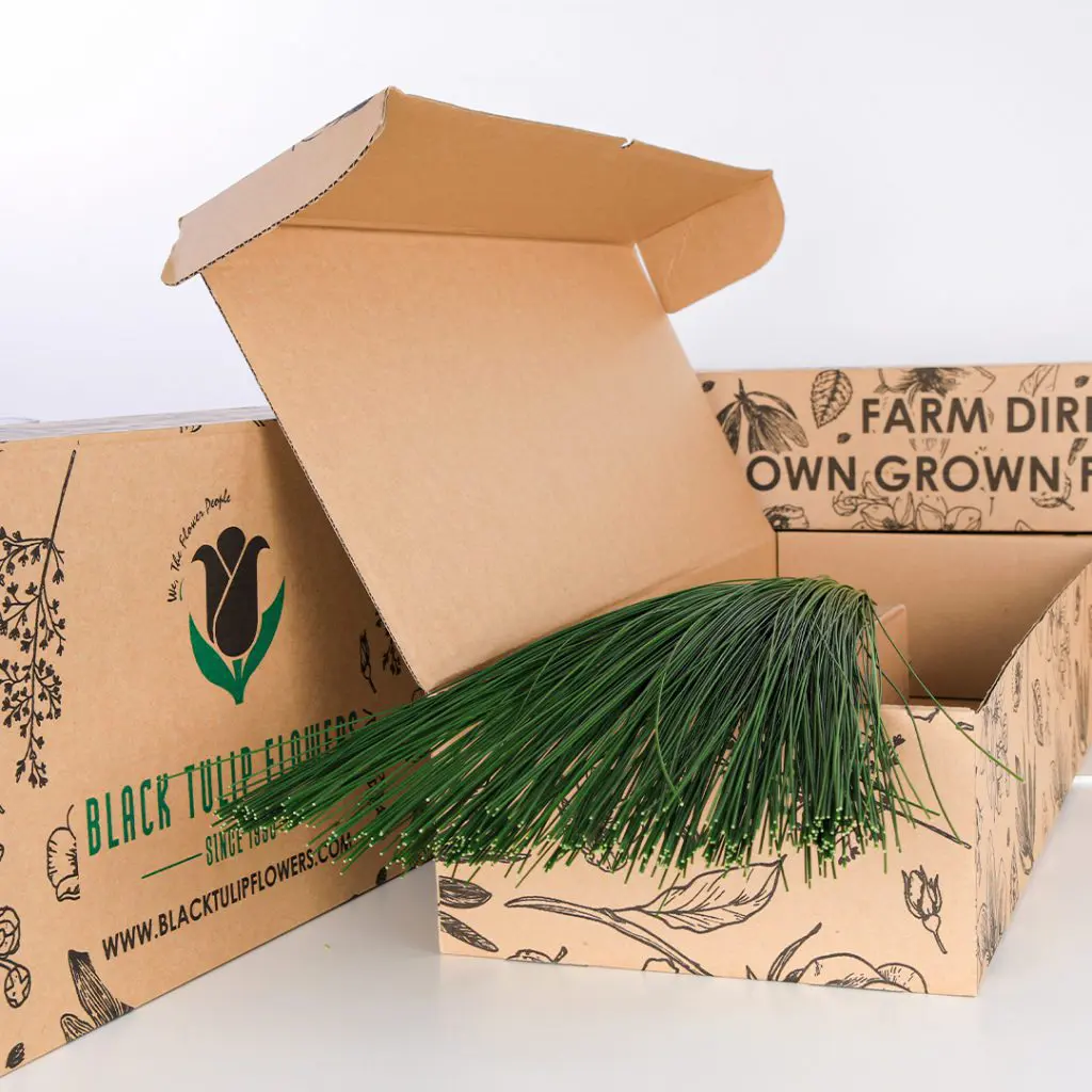 Flexi Grass (4) A cardboard box containing a bunch of Flexi Grass, showcasing its vibrant green colour and flexible texture.