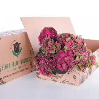 Bunch of Pink and red hydrangea in a box for DIY