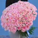Irresistable Pink (1)