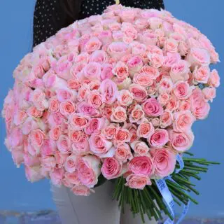 A bunch of 60 pink roses and 40 peach spray roses, elegantly tied with a white ribbon.