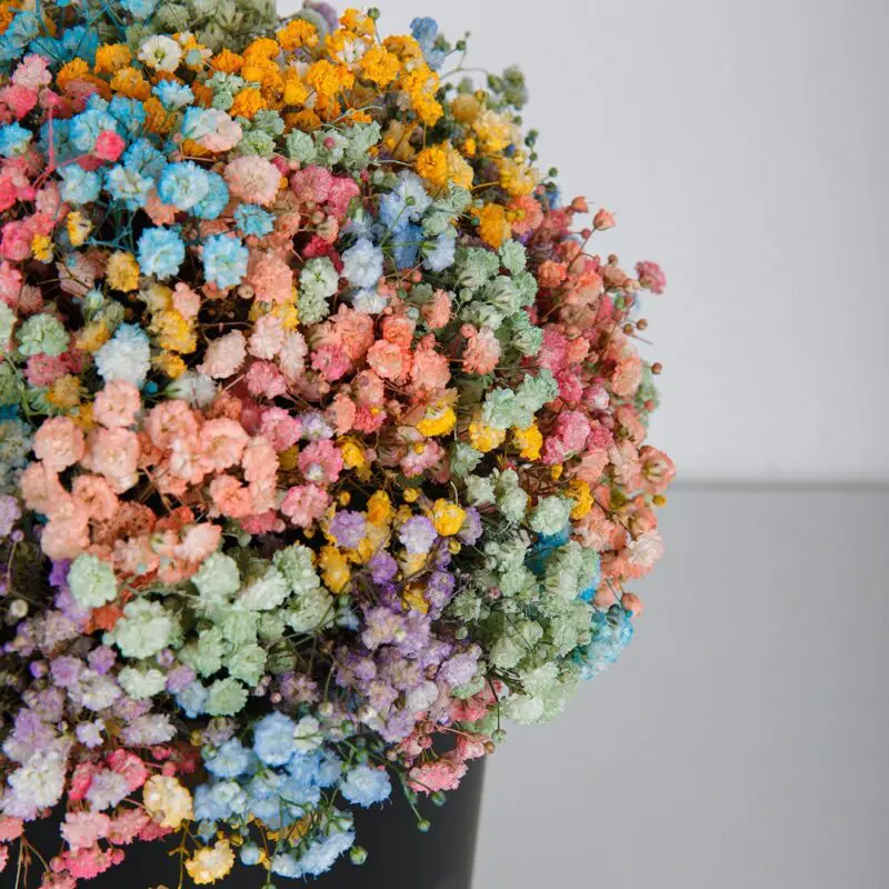 Joyful Rainbow (3) Joyful Rainbow flower box by Black Tulip Flowers