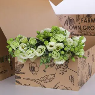 Lisianthus Green