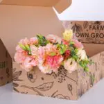 Lisianthus Peach 2 Lisianthus Peach (2)