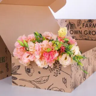 Lisianthus Peach
