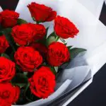 Lovely Red 3 Lovely Red (2)