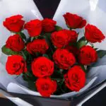 Lovely Red 2 Lovely Red (5)