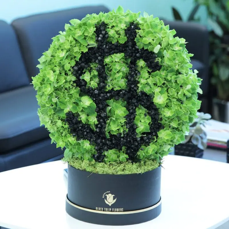 Money Inspired Box (1) A dollar sign shaped arrangement of green hydrangeas and spray-painted black gypsophila in a black hatbox.