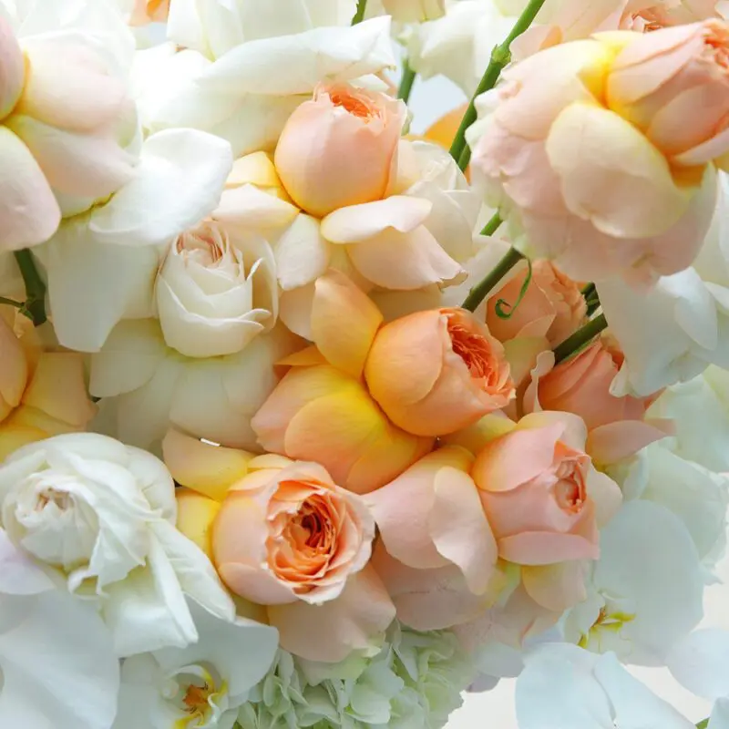 Noble Peach (2) Noble Peach flower arrangement by Black Tulip Flowers