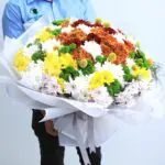 Optimistic Chrysanthemums (1)