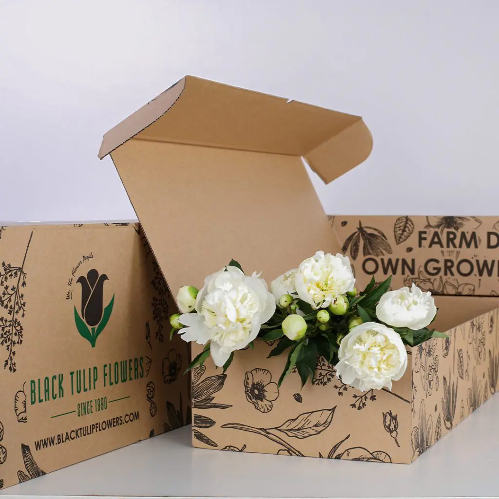 Peony White Two cardboard boxes with a floral pattern, one open to reveal 4 white peonies. The boxes are branded with "Black Tulip Flowers" and "Farm to Own Grown"