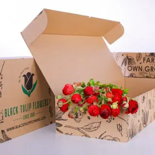 A collection of red Ranunculus flowers arranged in a cardboard box, highlighting their striking appearance and natural beauty.