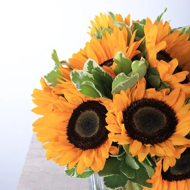 Shining Centerpiece (3) Shining Centerpiece with sunflowers by Black Tulip Flowers