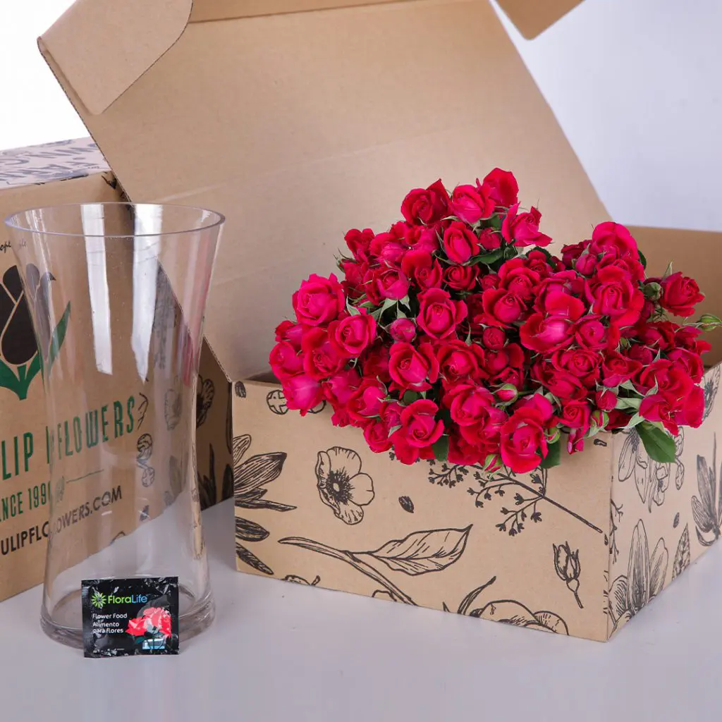 Spray Roses Dark Pink with vase (3) Bunch of dark pink spray roses in a box with glass vase and flower food.