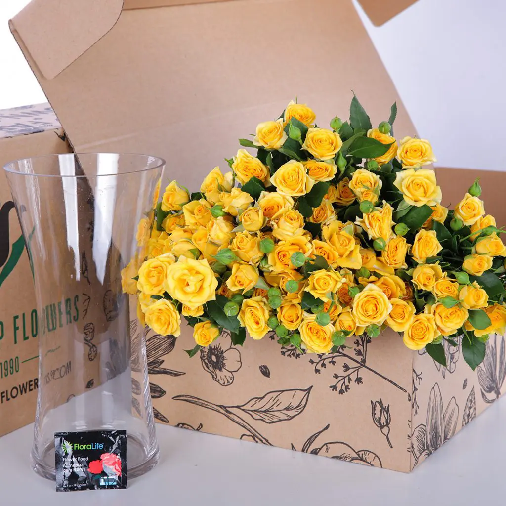 Spray Roses Yellow (1) A bunch of yellow roses in a glass vase, accompanied by flower food to keep them fresh and vibrant.