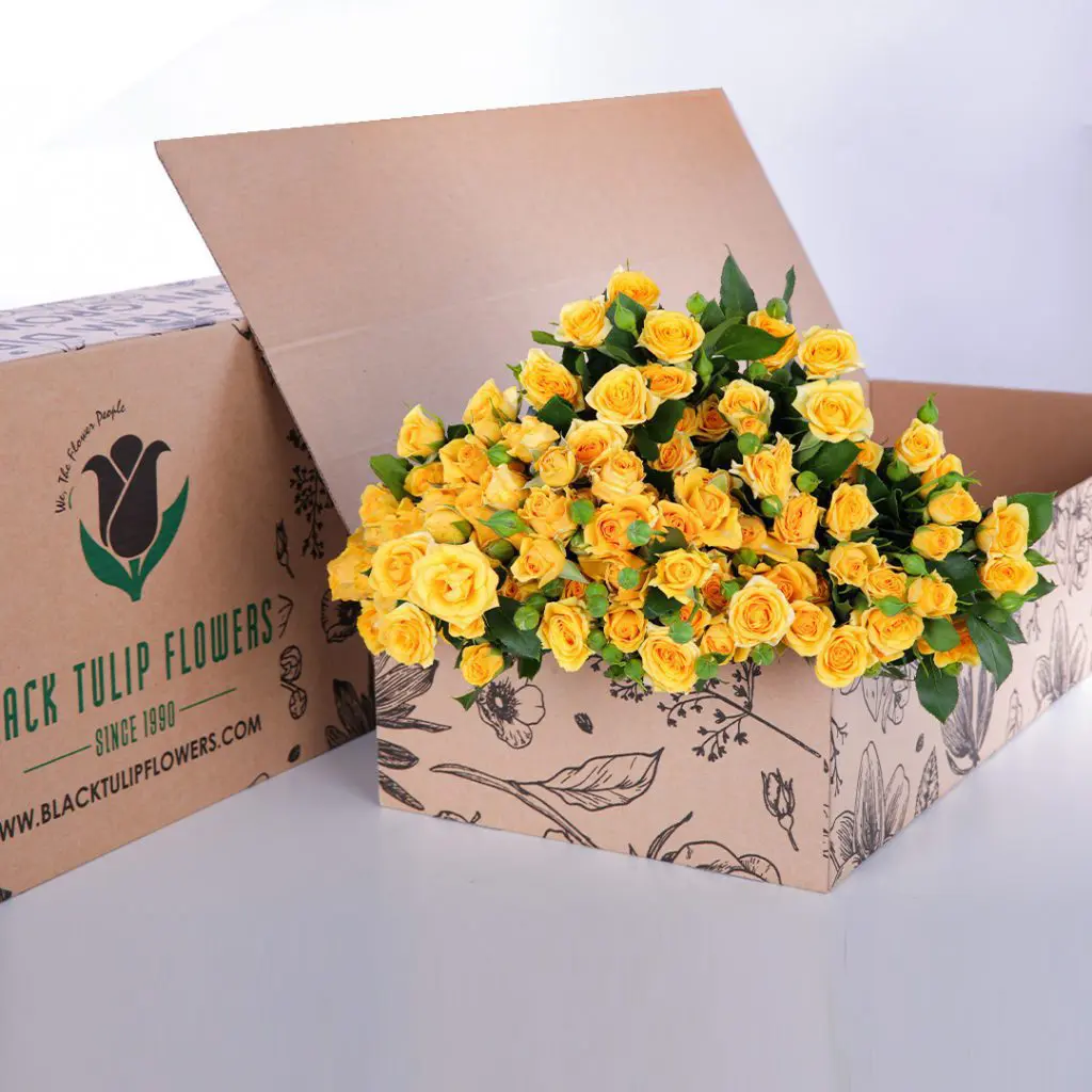 Spray Roses Yellow (2) Spray Roses Yellow