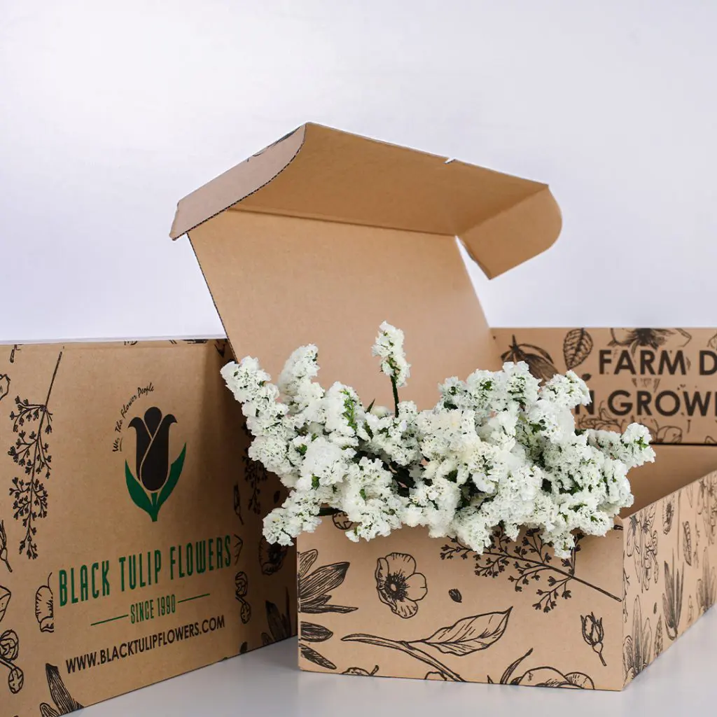 Statice White (2) A cardboard box containing a cluster of white Statice flowers, highlighting their elegant blooms and fresh look.