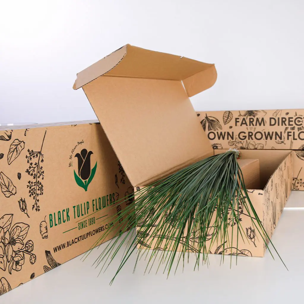 Steel Grass (5) A cardboard box filled with Steel Grass, emphasizing its shiny, metallic look and lush green blades.