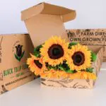 Sunflower Bunch 1 Sunflower (3)
