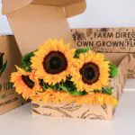 Sunflower Bunch 2 Sunflower (4)