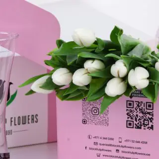 Tulip Regular White