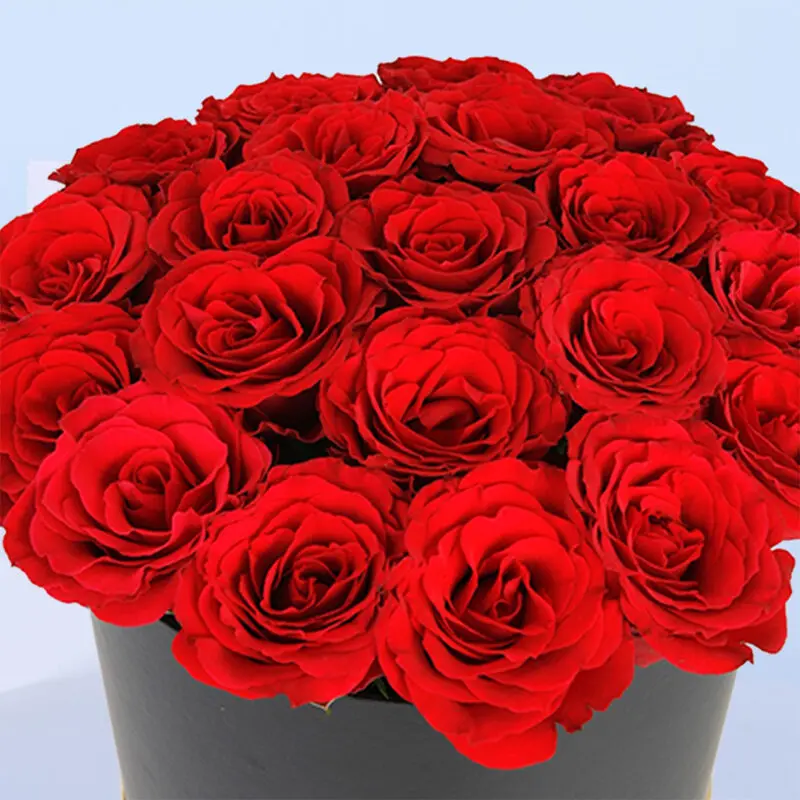 mutual-love-2026_02 mutual love 2026 02