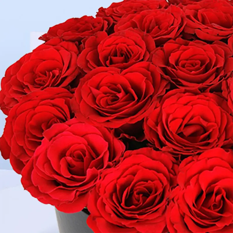 mutual-love-2026_04 mutual love 2026 04