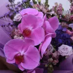 Purple Royalty 3 purple-royalty_2026_03