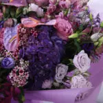 Purple Royalty 4 purple-royalty_2026_04