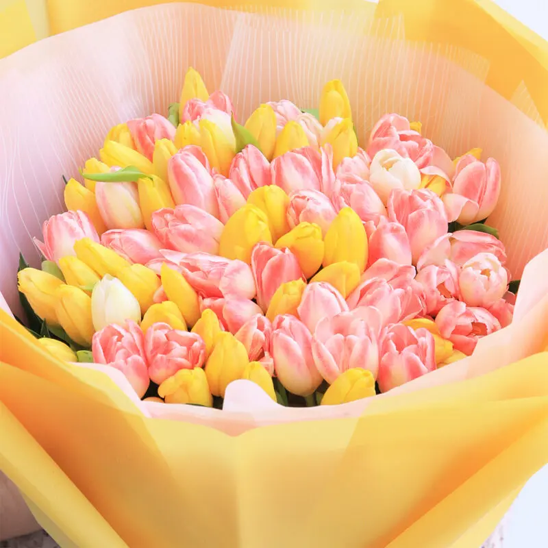 sweet-and-charismatic-tulips_2026_02 sweet and charismatic tulips 2026 02