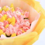 Sweet and Charismatic Tulips 3 sweet-and-charismatic-tulips_2026_03