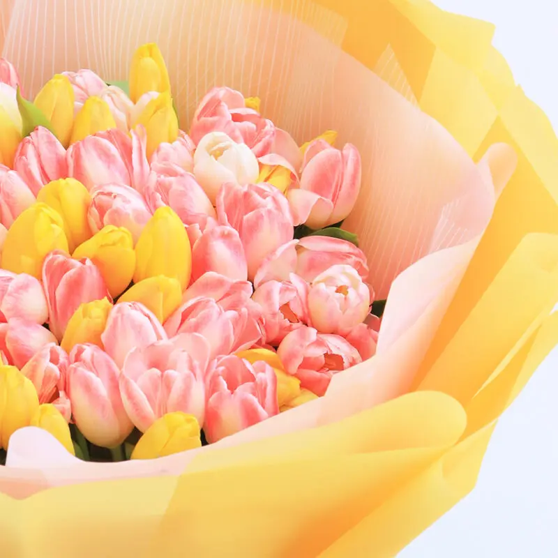 sweet-and-charismatic-tulips_2026_03 sweet and charismatic tulips 2026 03