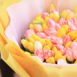 Sweet and Charismatic Tulips 4 sweet-and-charismatic-tulips_2026_04