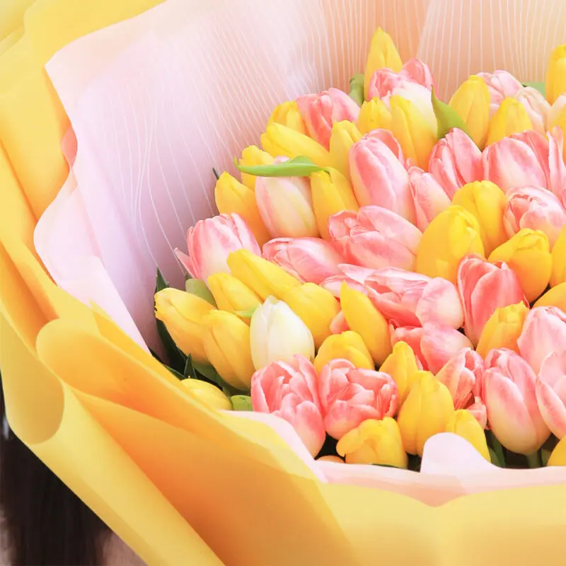 sweet-and-charismatic-tulips_2026_04 sweet and charismatic tulips 2026 04